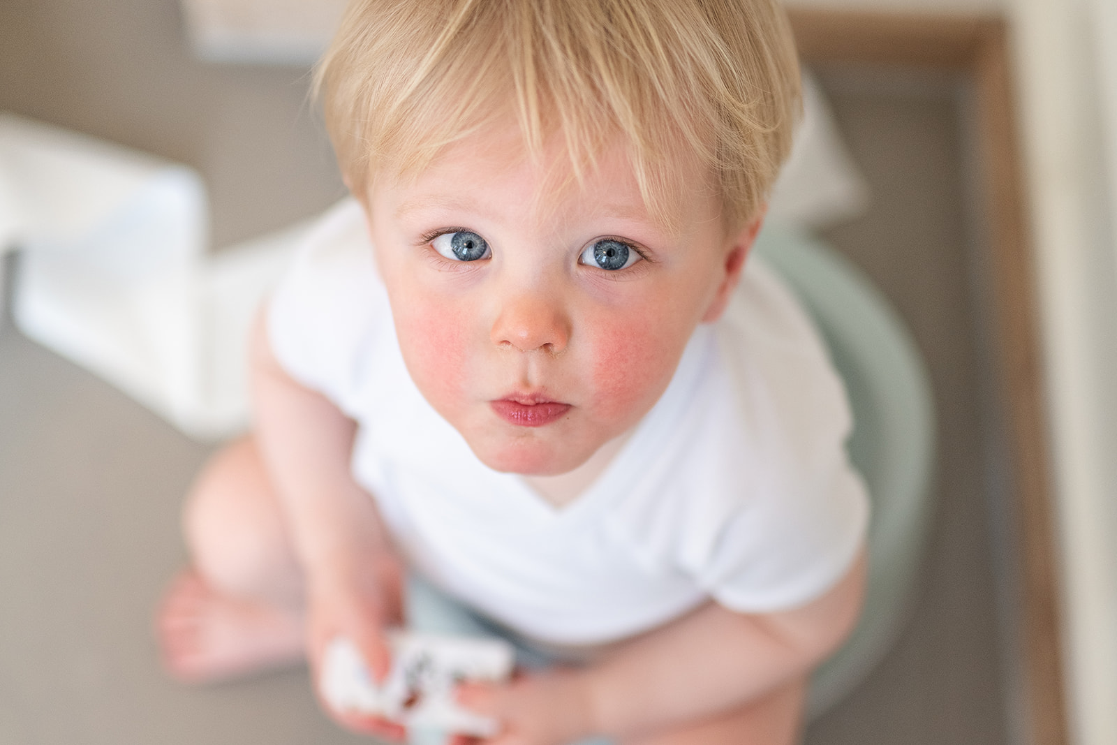 potty training/toilet training toddler baby with blue eyes sitting on potty seat/ potty chair while looking at the camera. he might need help during potty training / toilet training