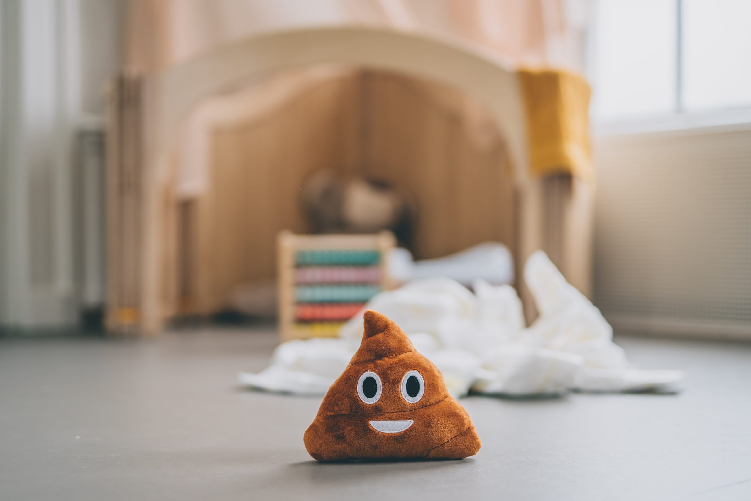 Poop Stuffed Toy This stuffed toy is perfect for helping your child feel more comfortable and confident during potty training / toilet training. Its adorable design will make it a fun and friendly companion throughout the process. It shows no constipation and poo problems