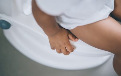 Break Free from Potty Training Myths: Tips Every Parent Must Know